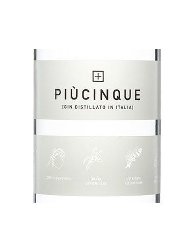 Gin 'Piu' Cinque' (700 ml.) Three Spirits Three Spirits - 2