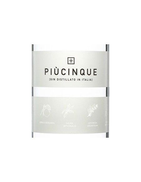 Gin 'Piu' Cinque' (700 ml.) Three Spirits Three Spirits - 2