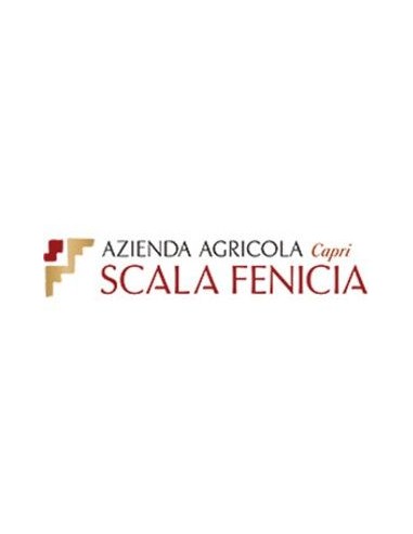 Vini Bianchi - Capri Bianco DOC 2016 (750 ml.) - Scala Fenicia - Scala Fenicia - 3