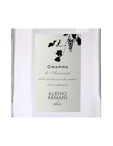 Grappa - Grappa Bianca di Amarone (500 ml) - Albino Armani - Albino Armani - 3
