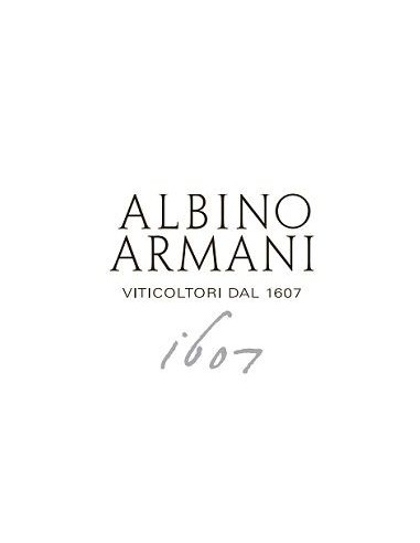 Grappa - White Grappa of Amarone (500 ml) - Albino Armani - Albino Armani - 4