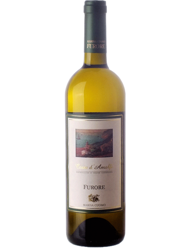 Costa d'Amalfi Furore Bianco DOC 2018 - Marisa Cuomo Costa d'Amalfi Furore Bianco DOC 2018 - Marisa Cuomo