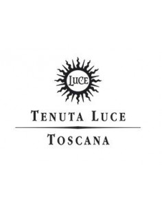 Red Wines - Toscana Rosso IGT 'Lux Vitis' 2016 (750 ml.) Tenuta Luce - Frescobaldi - Frescobaldi - 3