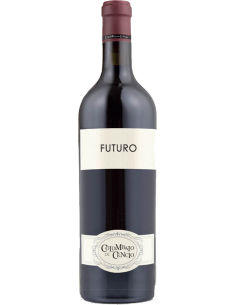 Red Wines - Toscana Rosso IGT 'Futuro' 2017 (750 ml.) - Colombaio di Cencio - Colombaio di Cencio - 1