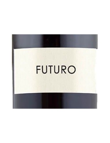 Red Wines - Toscana Rosso IGT 'Futuro' 2017 (750 ml.) - Colombaio di Cencio - Colombaio di Cencio - 2