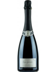 Vini Spumanti - Alta Langa Brut Nature DOCG 'Vigna Gatinera' 2011 (750 ml. astuccio) - Fontanafredda - Fontanafredda - 2