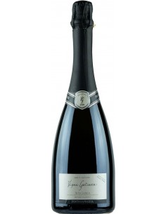 Sparkling Wines - Alta Langa Brut Nature DOCG 'Vigna Gatinera' 2011 (750 ml.) - Fontanafredda - Fontanafredda - 1