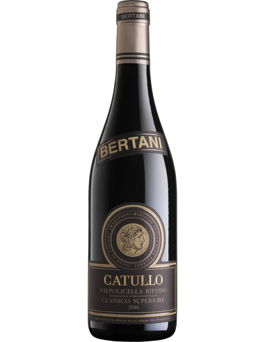 Red Wines - Valpolicella Ripasso Classico Superiore DOC 'Catullo' 2017 (750 ml.) - Bertani - Bertani - 1