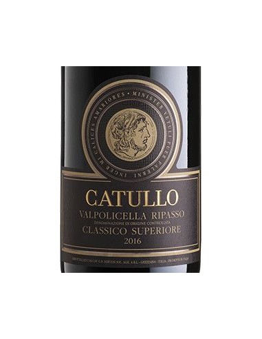 Vini Rossi - Valpolicella Ripasso Classico Superiore DOC 'Catullo' 2017 (750 ml.) - Bertani - Bertani - 2
