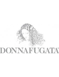 Red Wines - Contessa Entellina Rosso DOC 'Mille e Una Notte' 2017 (750 ml.) - Donnafugata - Donnafugata - 3