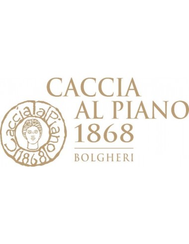 Vini Rose' - Toscana Rosato IGT 'Grottaia' 2019 (750 ml.) - Caccia al Piano - Caccia al Piano - 3