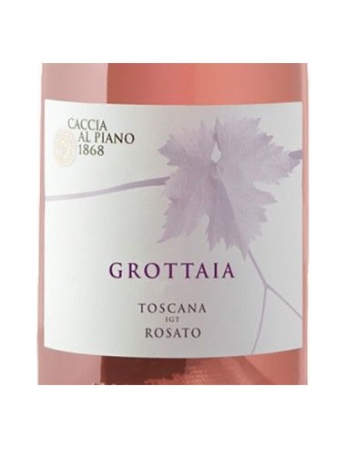 Vini Rose' - Toscana Rosato IGT 'Grottaia' 2019 (750 ml.) - Caccia al Piano - Caccia al Piano - 2