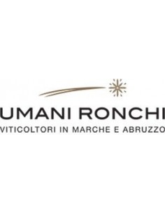 White Wines - Verdicchio dei Castelli di Jesi Superiore DOC 'Vecchie Vigne' 2018 (750 ml.) - Umani Ronchi - Umani Ronchi - 3