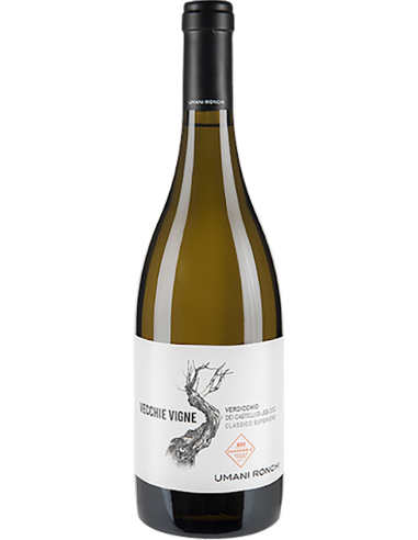 White Wines - Verdicchio dei Castelli di Jesi Superiore DOC 'Vecchie Vigne' 2018 (750 ml.) - Umani Ronchi - Umani Ronchi - 1