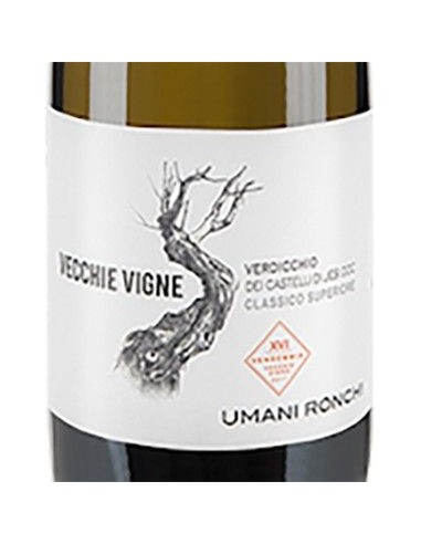 White Wines - Verdicchio dei Castelli di Jesi Superiore DOC 'Vecchie Vigne' 2018 (750 ml.) - Umani Ronchi - Umani Ronchi - 2
