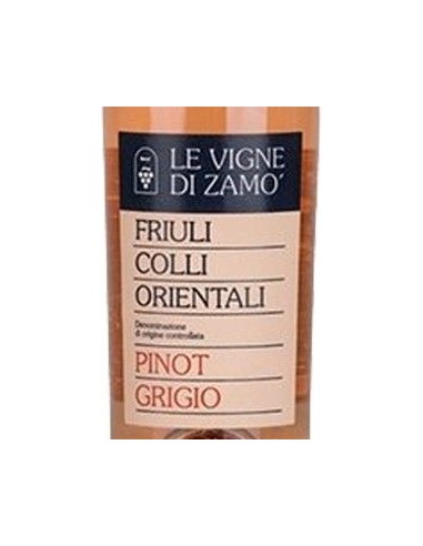 White Wines - Colli Orientali del Friuli 'Pinot Grigio Ramato' DOC 2019 (750 ml.) - Le Vigne di Zamo' - Le Vigne di Zamo' - 2