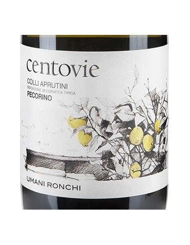 White Wines - Colli Aprutini IGT Pecorino 'Centovie' 2018 (750 ml.) - Umani Ronchi - Umani Ronchi - 2