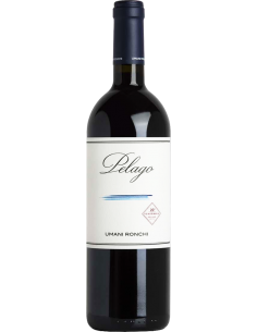 Red Wines - Marche IGT 'Pelago' 2016 (750 ml.) - Umani Ronchi - Umani Ronchi - 1