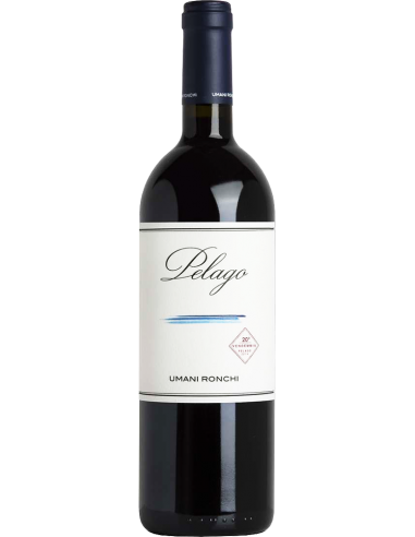 Red Wines - Marche IGT 'Pelago' 2016 (750 ml.) - Umani Ronchi - Umani Ronchi - 1