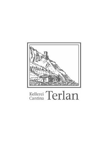 White Wines - Alto Adige Pinot Bianco Riserva DOC 'Vorberg'  2018 (750 ml.) - Terlano - Terlan - 3