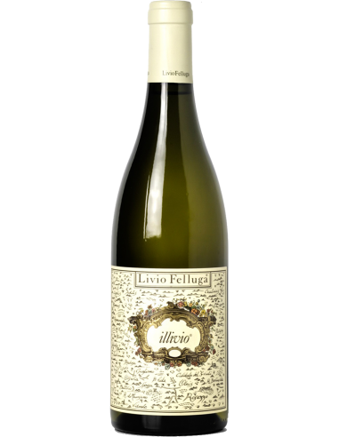 White Wines - Colli Orientali del Friuli DOC 'Illivio' 2018 (750 ml.) - Livio Felluga - Livio Felluga - 1