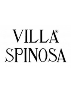 Red Wines - Amarone della Valpolicella Classico DOCG 'Albasini' 2011 (750 ml.) - Villa Spinosa - Villa Spinosa - 3