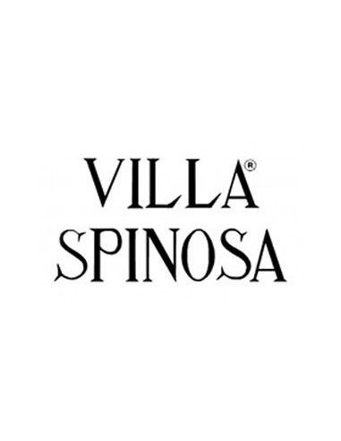 Amarone della Valpolicella Classico DOCG 'Albasini' 2011 (750 ml.) Villa Spinosa Villa Spinosa - 3