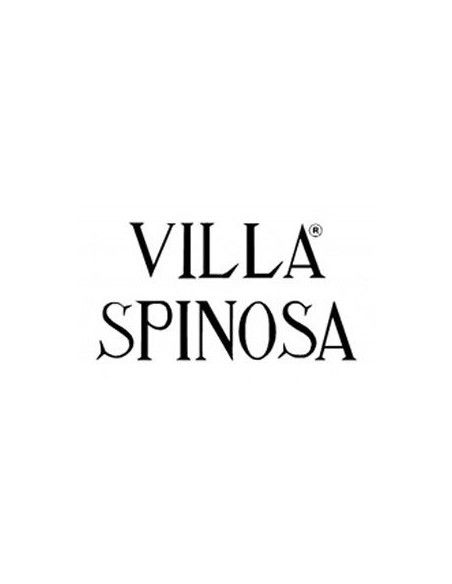 Amarone della Valpolicella Classico DOCG 'Albasini' 2011 (750 ml.) Villa Spinosa Villa Spinosa - 3