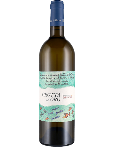 White Wines - Terre Siciliane Zibibbo IGT 'Grotta dell'Oro' 2019 (750 ml.) - Hibiscus - Hibiscus - 1 White Wines - Terre Siciliane Zibibbo IGT 'Grotta dell'Oro' 2019 (750 ml.) - Hibiscus - Hibiscus - 1