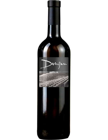 White Wines - Venezia Giulia IGT 'Kaplja' 2016 (750 ml.) - Damijan Podversic - Damijan Podversic - 1