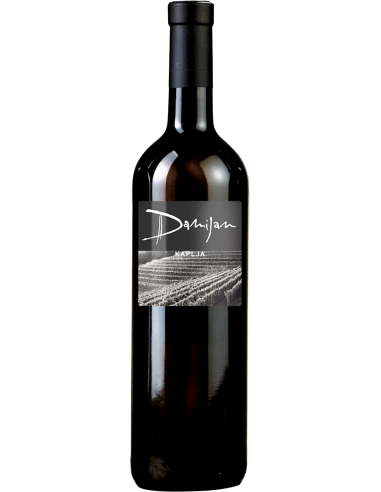 Venezia Giulia IGT 'Kaplja' 2016 (750 ml.) - Damijan Podversic Damijan Podversic - 1