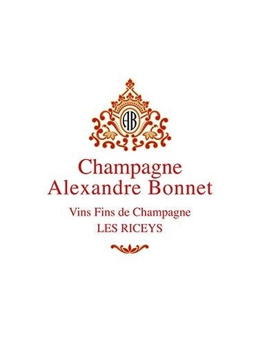 Champagne Blanc de Noirs - Champagne Brut Blanc de Noirs (750 ml.) - Alexandre Bonnet - Alexandre Bonnet - 3