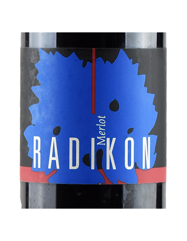 Red Wines - Venezia Giulia Merlot IGT 2006 (500 ml) - Radikon - Radikon - 2