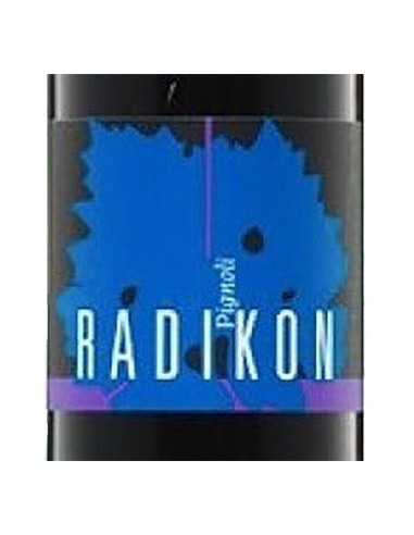 Red Wines - Venezia Giulia IGT 'Pignoli' 2009 (500 ml) - Radikon - Radikon - 2