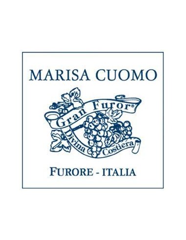 White Wines - Ravello Bianco DOC 2020 (750 ml.) - Marisa Cuomo - Marisa Cuomo - 6