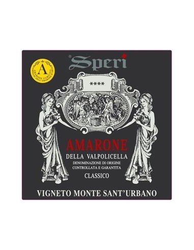 Red Wines - Amarone della Valpolicella Classico DOCG 'Vigneto Monte Sant'Urbano' 2016 (750 ml.) - Speri - Speri - 2