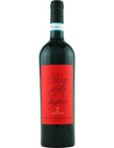 Vini Rossi - Rosso di Montalcino DOC Tenuta 'Pian delle Vigne' 2019 (750 ml.) - Antinori - Antinori - 1