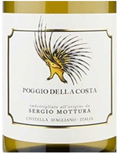 White Wines - Civitella d'Agliano Grechetto IGT 'Poggio della Costa' 2019 (750 ml.) - Sergio Mottura - Sergio Mottura - 2