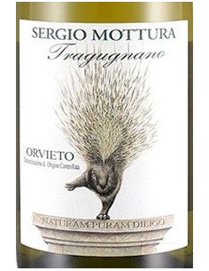 Vini Bianchi - Orvieto DOC 'Tragugnano' 2019 (750 ml.) - Sergio Mottura - Sergio Mottura - 2