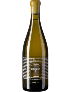 White Wines - Toscana IGT 'Boggina B' 2018 (750 ml.) - Petrolo - Petrolo - 1