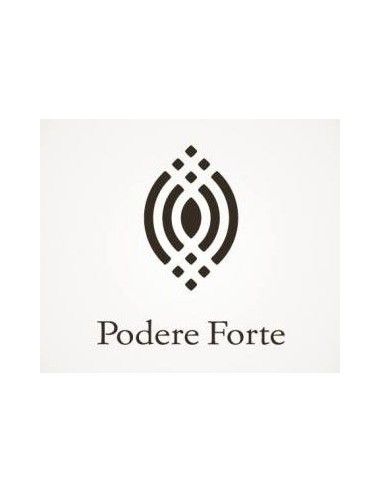 Orcia DOC Sangiovese 'Petrucci Anfiteatro' 2016 (750 ml.) Podere Forte Podere Forte - 3