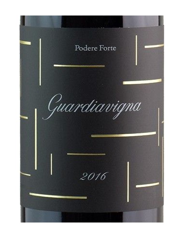 Vini Rossi - Toscana IGT 'Guardiavigna' 2016 (750 ml.) - Podere Forte - Podere Forte - 2