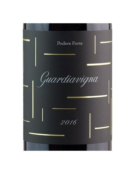 Tuscany IGT 'Guardiavigna' 2016 (750 ml.) Podere Forte Podere Forte - 2