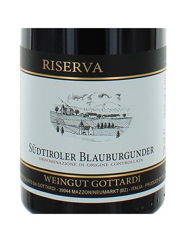 Red Wines - Alto Adige Pinot Noir DOC Reserve 2016 (750 ml.) - Gottardi - Gottardi - 2