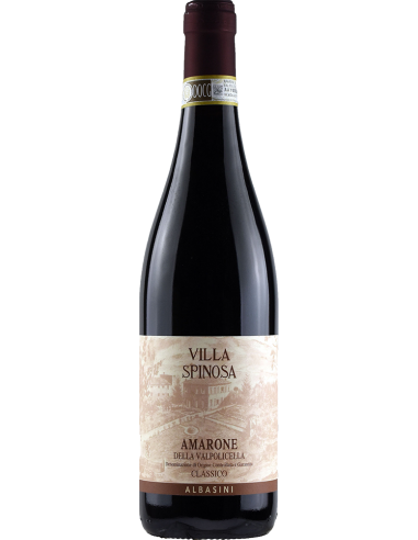 Red Wines - Amarone della Valpolicella Classico DOCG 'Albasini' 2011 (750 ml.) - Villa Spinosa - Villa Spinosa - 1