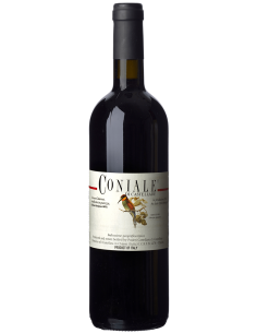 Toscana Cabernet Sauvignon IGT 'Coniale' 2017 (750 ml.) Castellare di Castellina Castellare di Castellina - 1