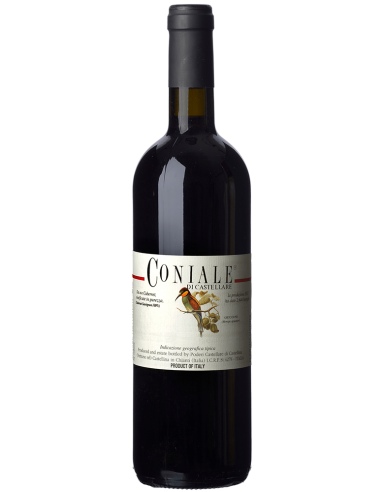 Red Wines - Toscana Cabernet Sauvignon IGT 'Coniale' 2017 (750 ml.) - Castellare di Castellina - Castellare di Castellina - 1