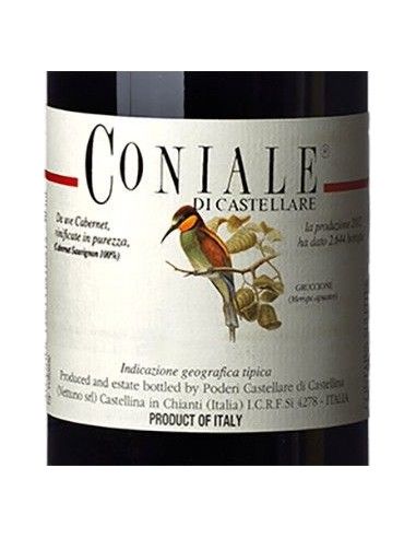 Toscana Cabernet Sauvignon IGT 'Coniale' 2017 (750 ml.) Castellare di Castellina Castellare di Castellina - 2