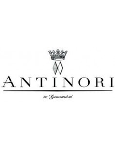 Red Wines - Chianti Classico Riserva DOCG 'Marchese Antinori' 2018 (750 ml.) - Antinori - Antinori - 3
