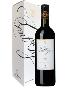 Red Wines - Bolgheri DOC 'Cont'Ugo' 2018 (750 ml. boxed) - Antinori - Antinori - 1